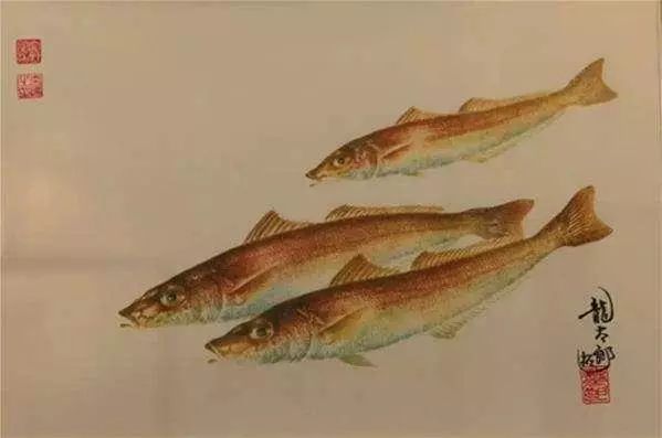 他买了一条草鱼，直接印在画纸上，专家大赞：好画，鱼活了