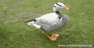 正常人憋尿多长时间有危险,防水需要注意事项