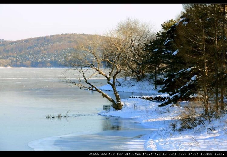 秋韵温柔岁月，冬情惊艳时光