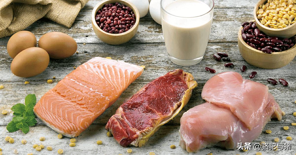 不同症状的肥胖,体型肥胖头晕目眩四肢麻木