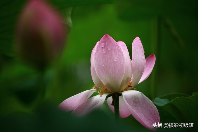 100个摄影小妙招大全,12个摄影小技巧视频教学