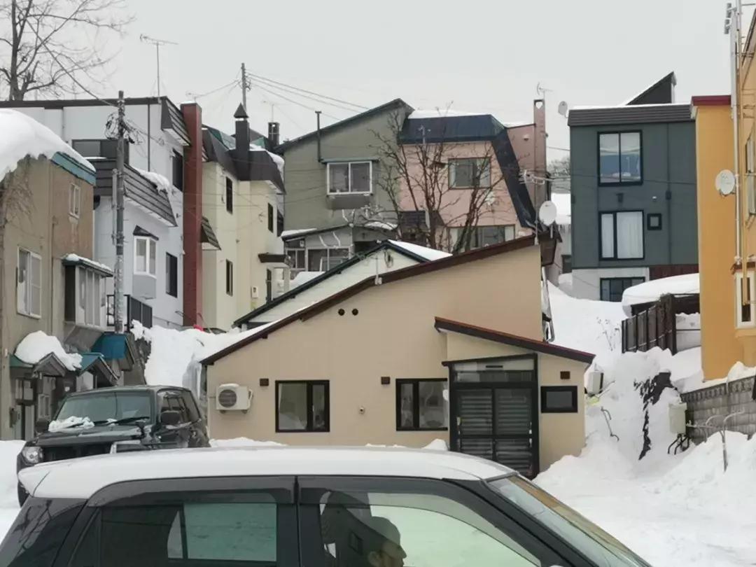 中国雪乡vs日本北海道雪景,日本北海道和东部雪乡哪个好