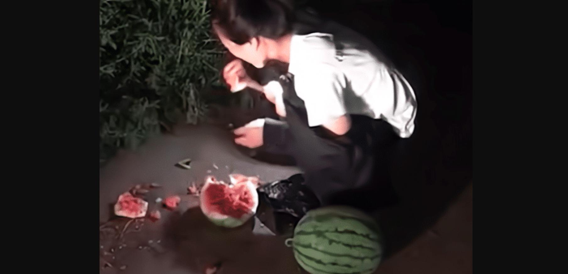 深夜偷西瓜被抓,女子偷西瓜被逮住让现场吃掉