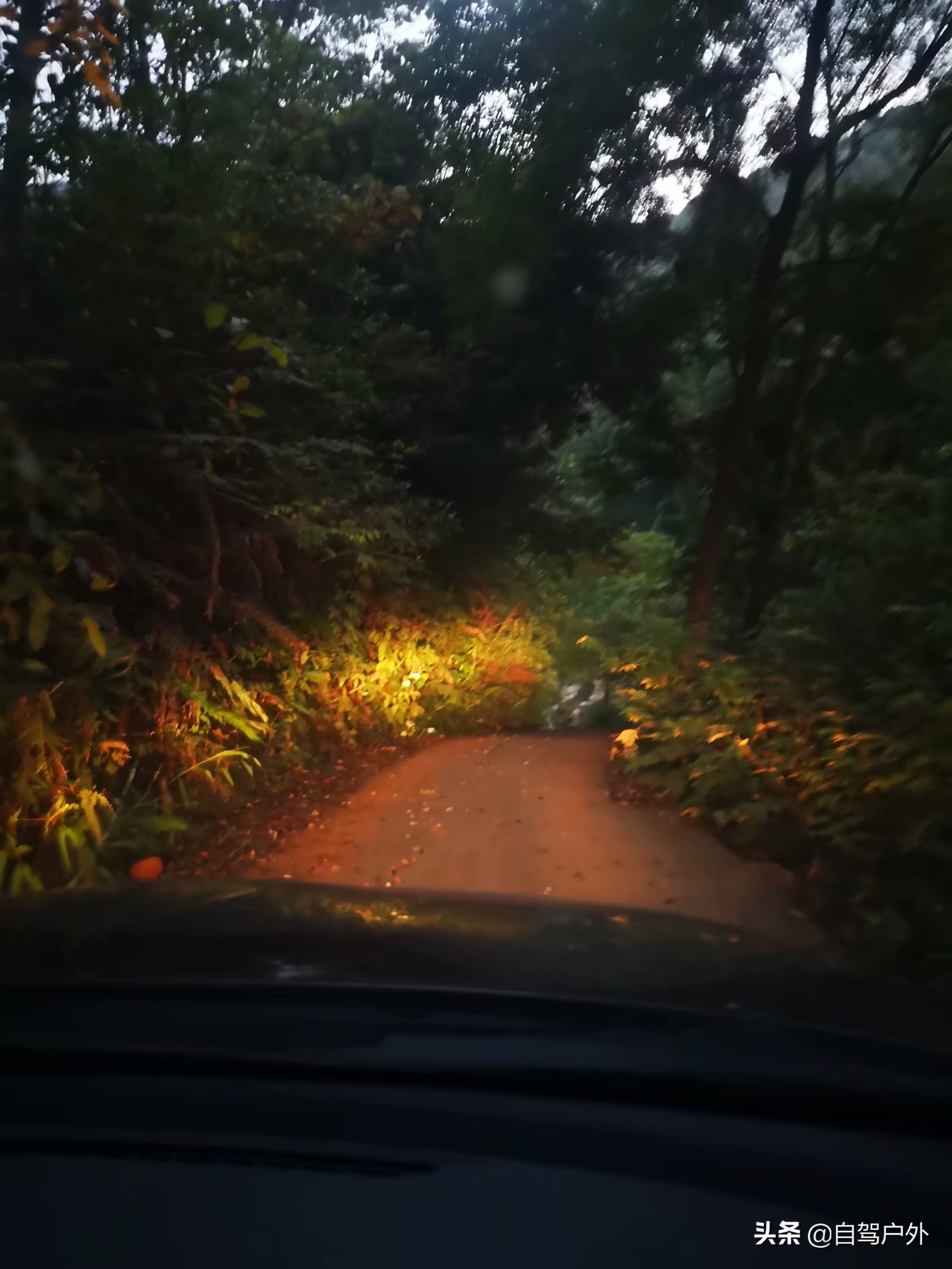 惠州明月山庄露营,罗浮山休闲竹林露营地