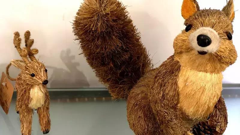 乌拉草吉林哪里有,乌拉草现在叫什么