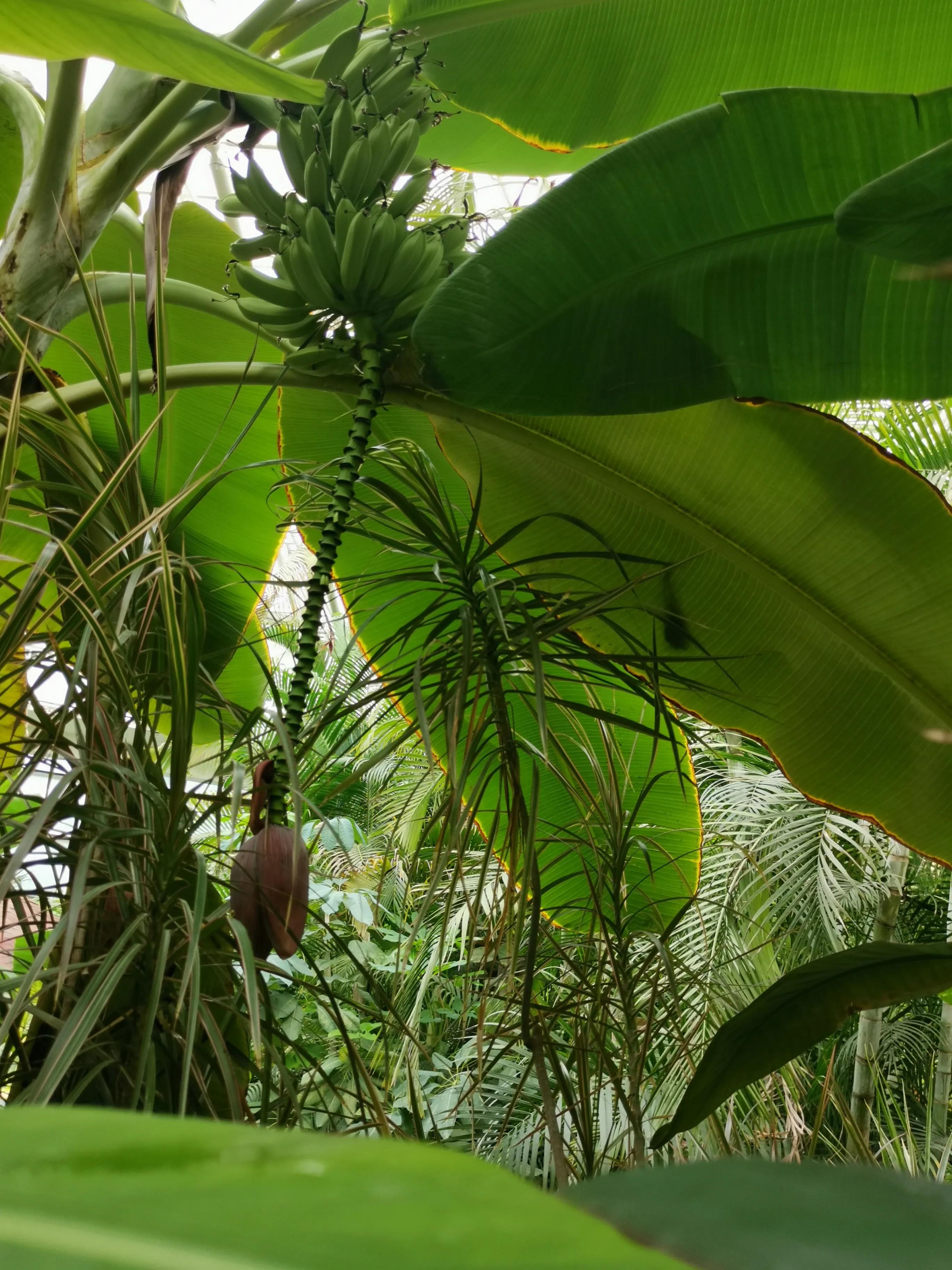 凤山温泉,北京金隅凤山温泉特色