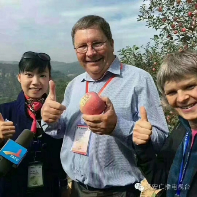 洛川苹果现状如何,洛川苹果农药