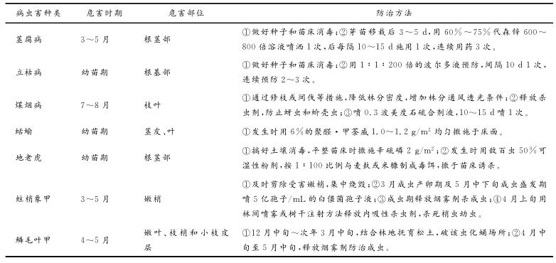 桢楠2年苗需要多少生根剂,桢楠种子的育苗方法