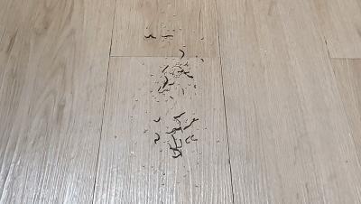 米家扫地机器人和石头扫地机测评,入门级扫地机