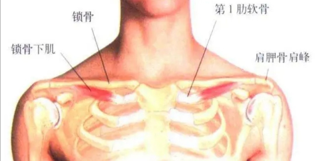 太极札记96,太极札记62