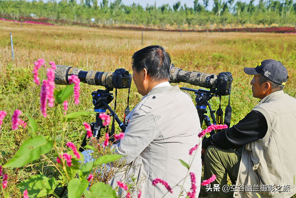 唐山城内游玩攻略,唐山游玩指南