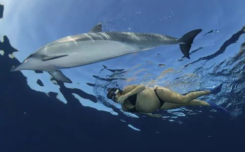 孕中期可以去钓鱼吗,孕中期游泳可以吗