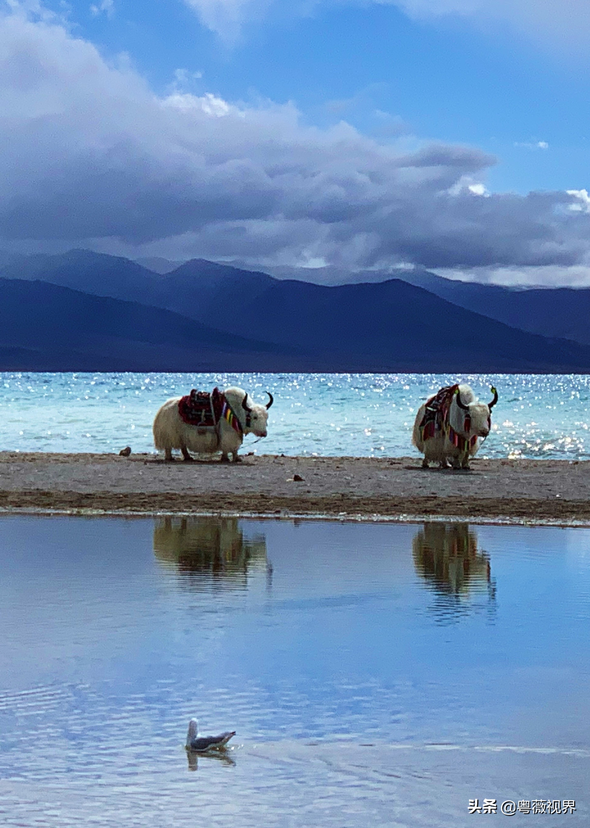 川藏自驾游走国道好还是走高速好 (g317国道川藏北线)