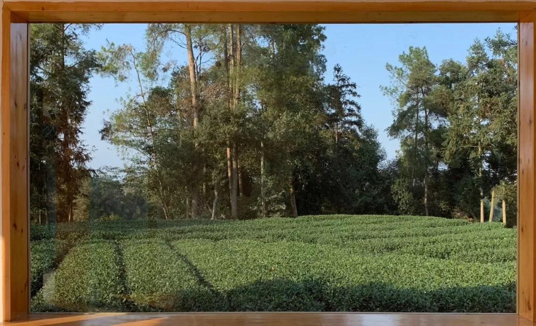 9月第一天旅游,雅安9月旅游线路推荐四天三夜