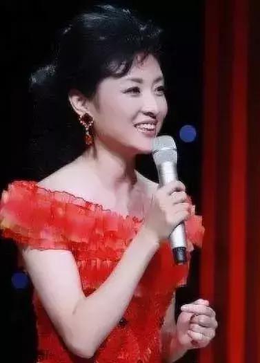 央视最漂亮6大女主持人名单,央视最优秀的5位主持人