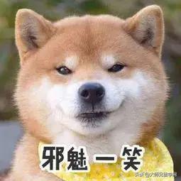 求求你不要再说了原音频,新加坡留学你不知道的事