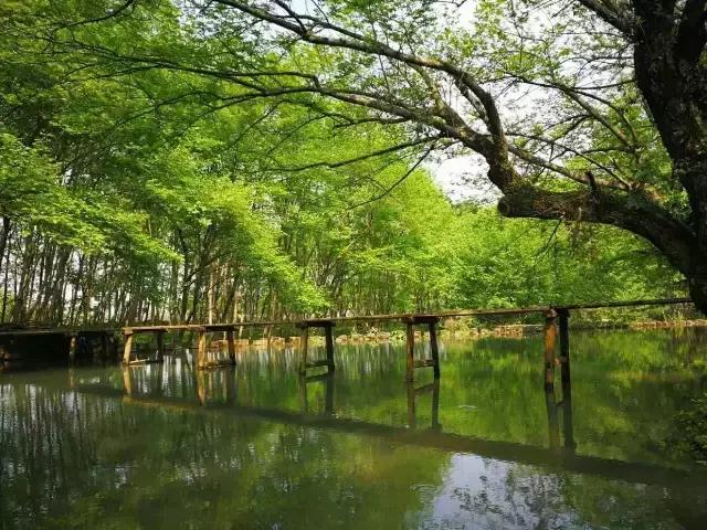 去了10次也不腻的地方,芜湖最值得一去的地方