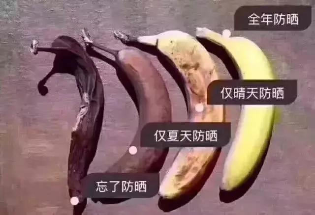 防晒 +|后来遇见它，陪我春秋冬夏