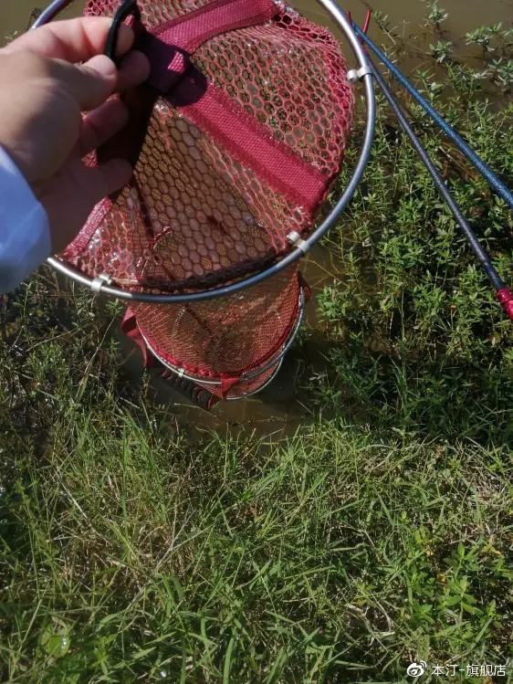 钓鱼真不容易吗,钓鱼实在不容易