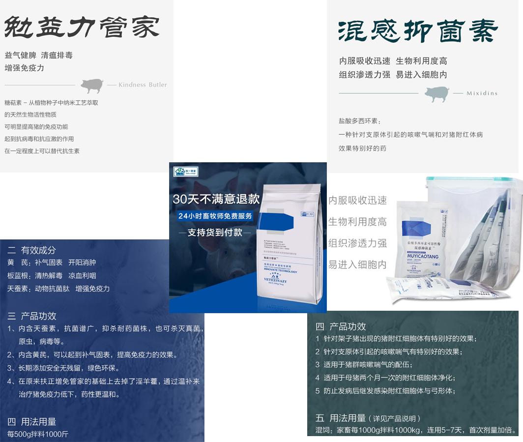 猪附红细胞体病症状及防治方法,猪附红细胞体和弓形体的区别