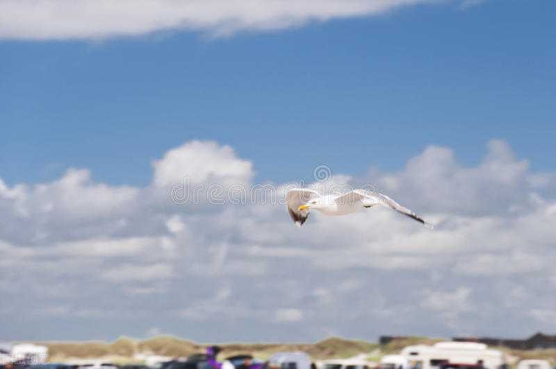 罗定历史文化名城介绍视频,广东历史名城罗定