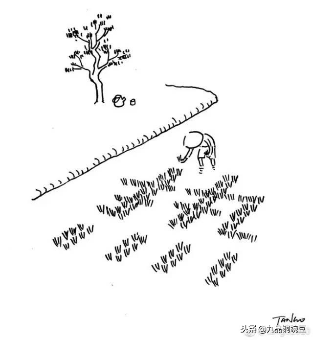 污力MAX！又污又有趣，还有点治愈