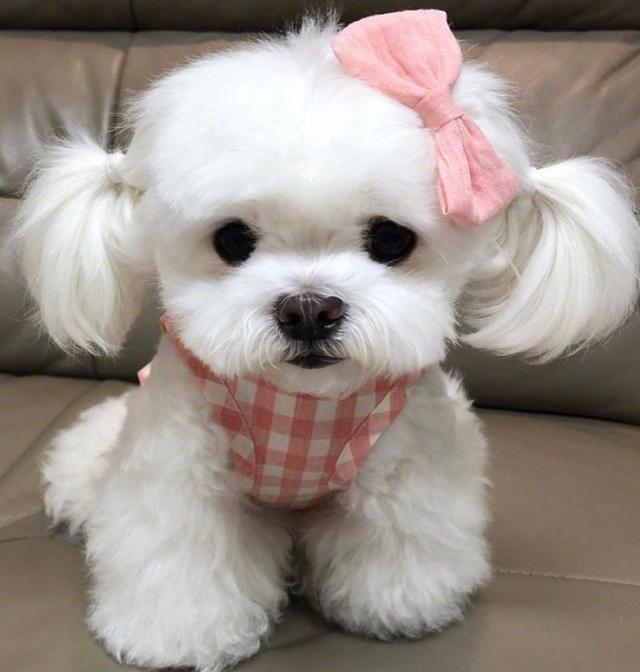 能让人笑到肚子疼的笑话简短,幽默笑死人的短句笑话大全