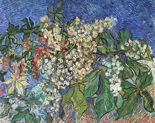 情人节送鲜花祝福语,情人节送满天星花寄语