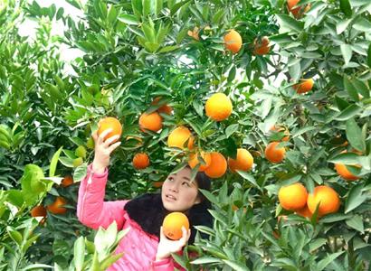 泸州古蔺县：政府质量奖获奖企业的“质量之道”