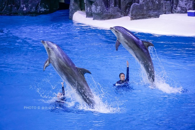 珠海横琴除了长隆还有什么东西玩,横琴有哪些景点可以玩儿