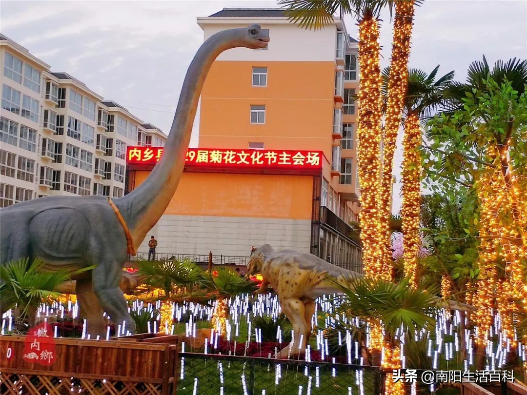 内乡梨苑山庄菊花展,内乡31届菊花展