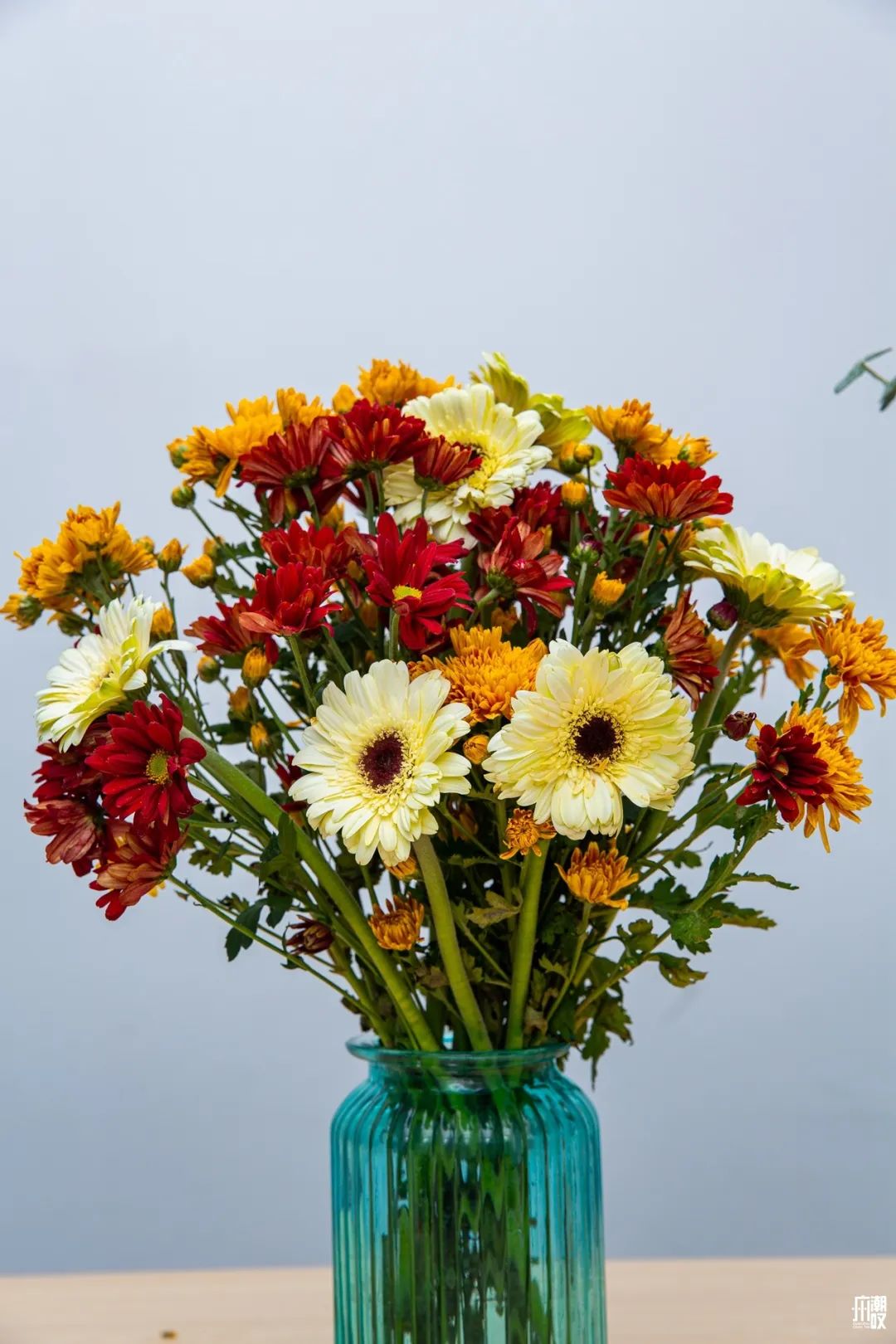 广州最便宜的花卉市场1块钱,广州岭南花卉市场买花攻略