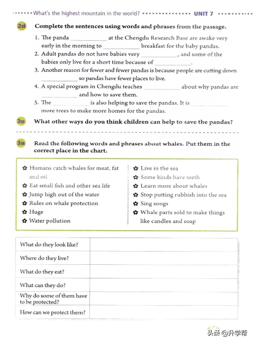 八年级英语下册人教版预习,8年级下册英语电子书人教版翻译