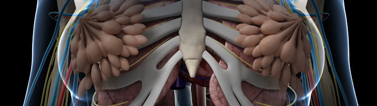 胸越大越自信，越自信就越幸福，所以，大胸=幸福？