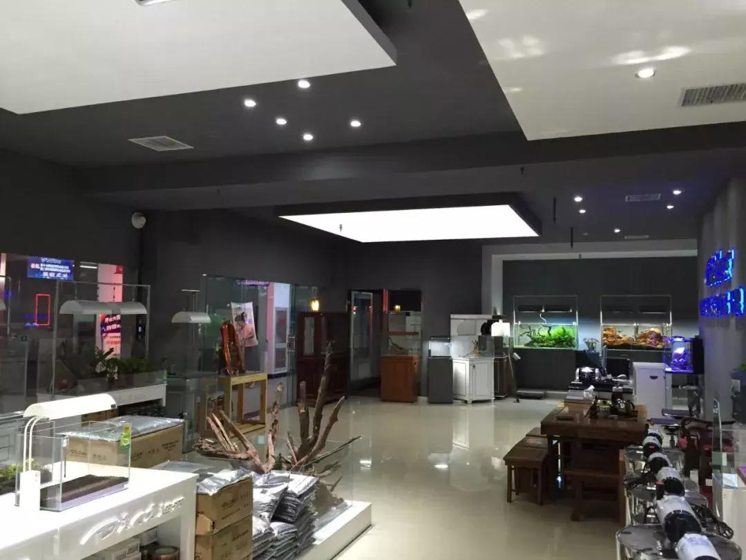 如何维护水族品牌防止“掉队”