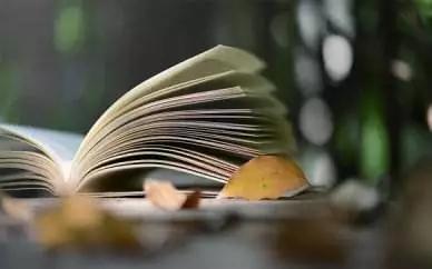 学习新概念英语最正确步骤是什么,新概念英语第一册相当于什么水平