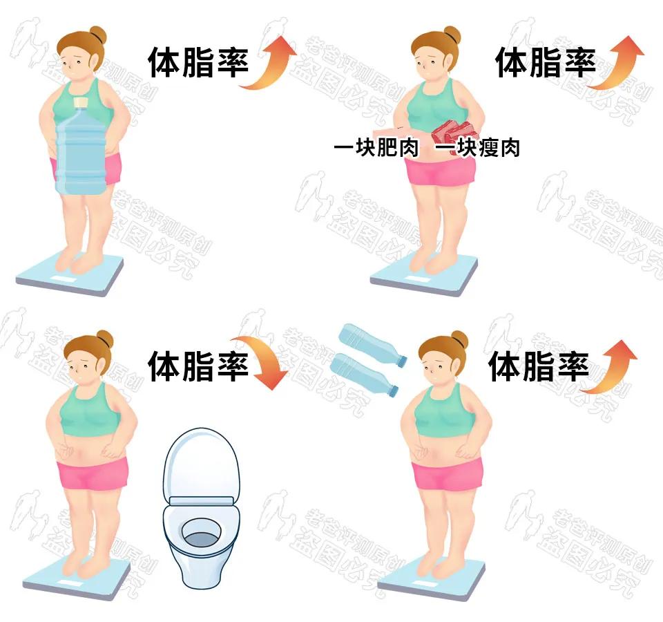 体脂秤的数据准不准,比较靠谱的体脂秤