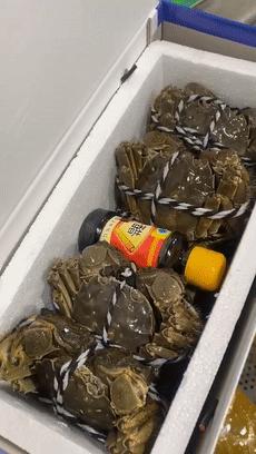 CBD里的Chloe、AmandaandKatharine，都在㳽到脑壳买农副产品