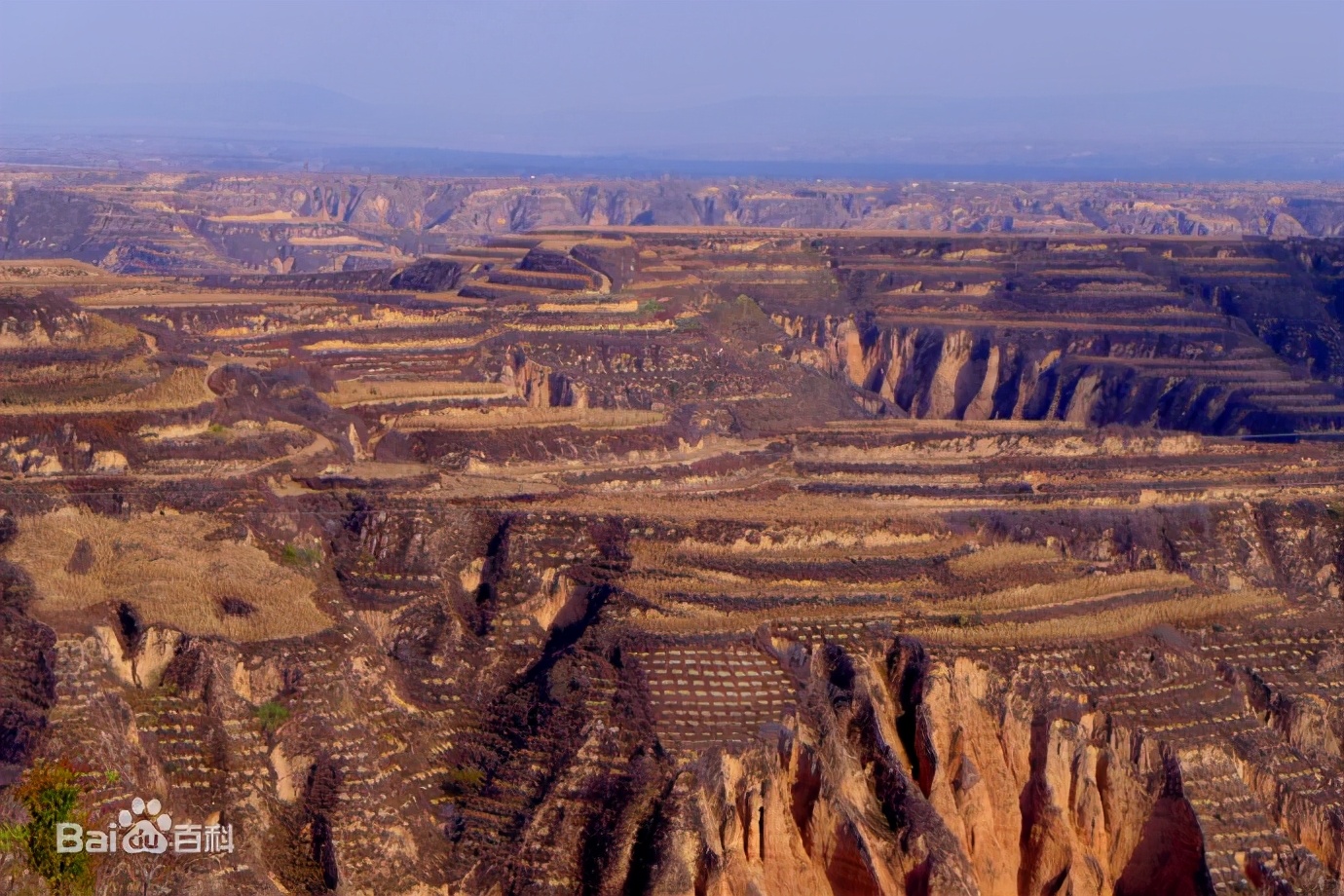 精讲古诗词音频,诵读经典诗词采撷风雅飘香