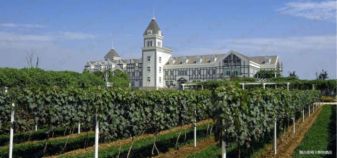 “风雨两甲子”张裕A：百二秦关终归楚，三千越甲可吞吴