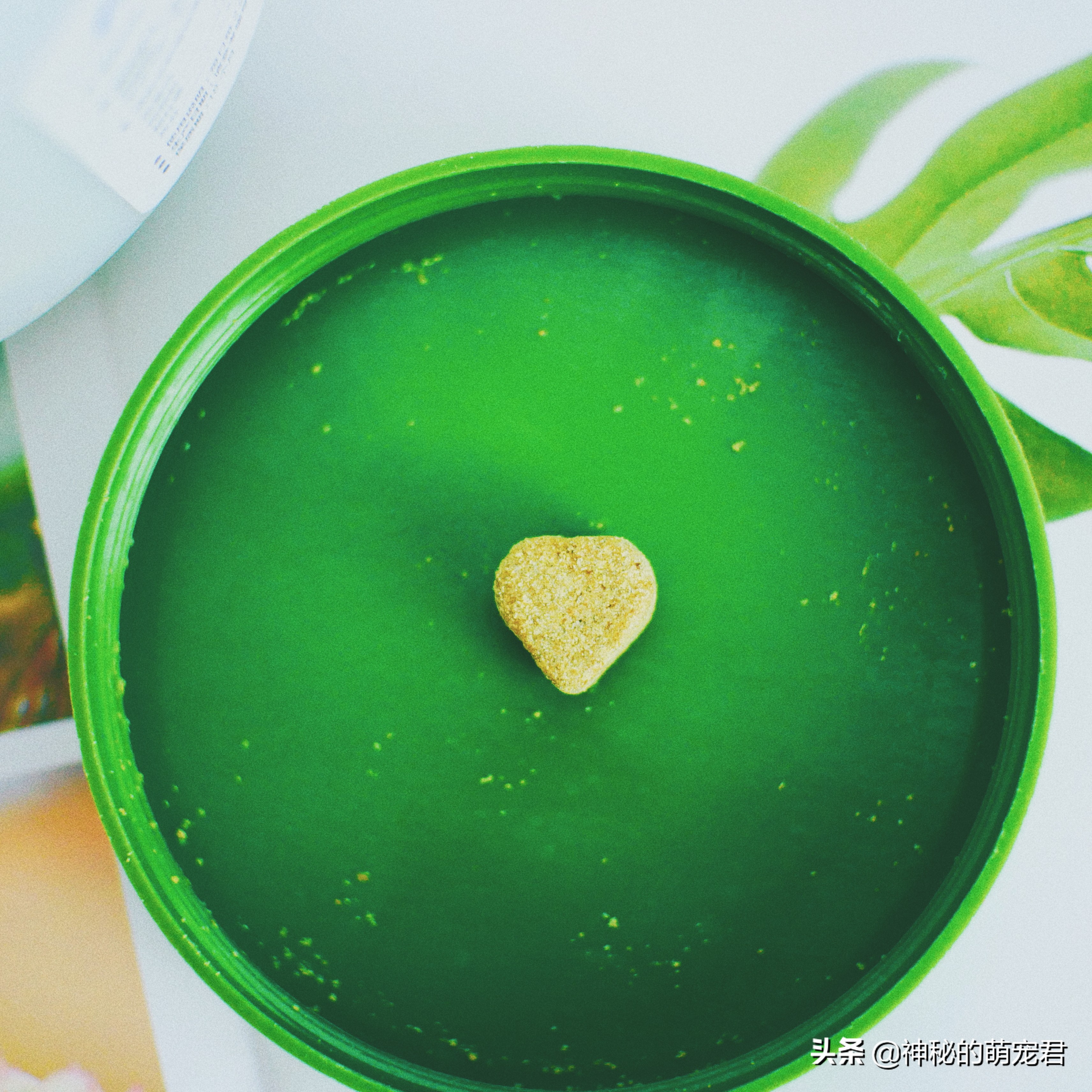 狗狗麦德氏卵磷脂,狗狗麦德氏卵磷脂一天吃多少粒