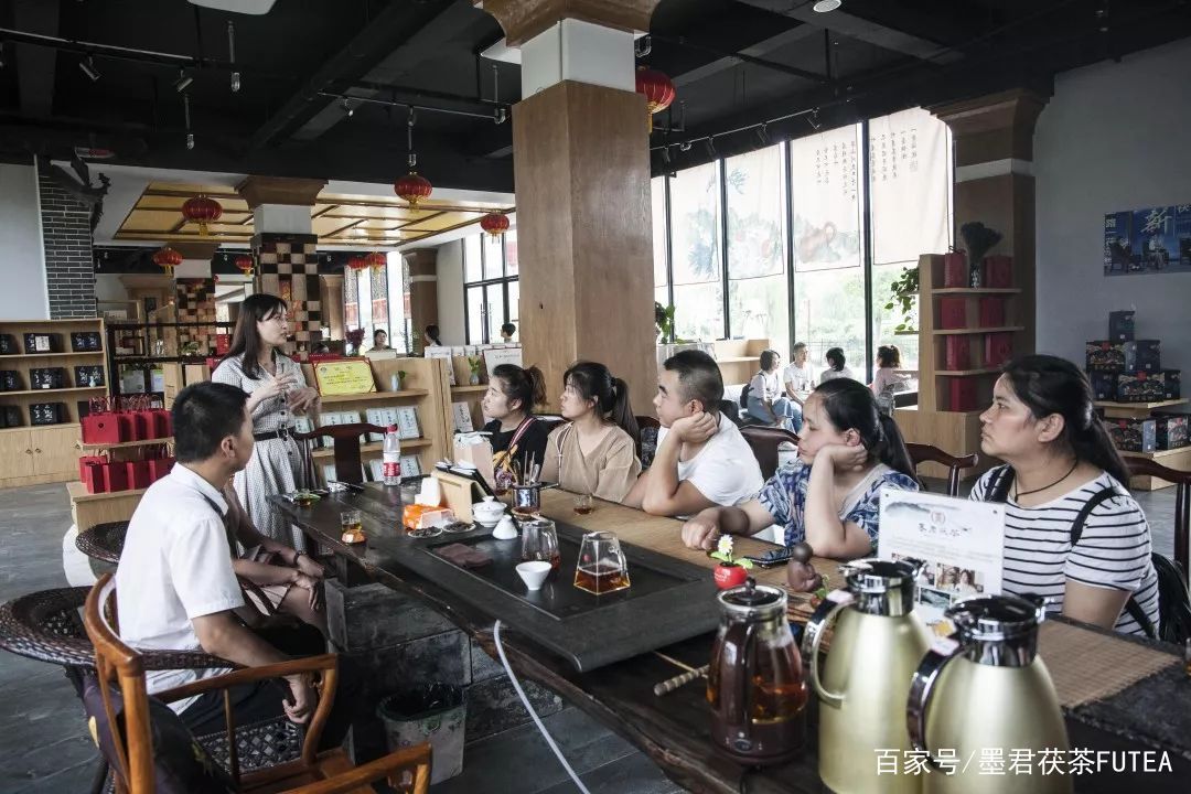 会友会景会茯茶品古品今品墨君|陕西巨鹰公司莅临金叶茯茶参观