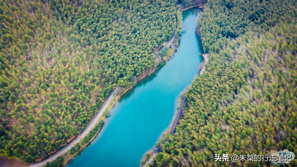 全国最大的竹海,中国竹都最美竹海
