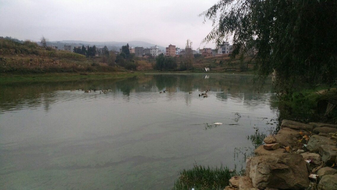 收费100一天的水库,离昆明市区最近的收费钓鱼水库