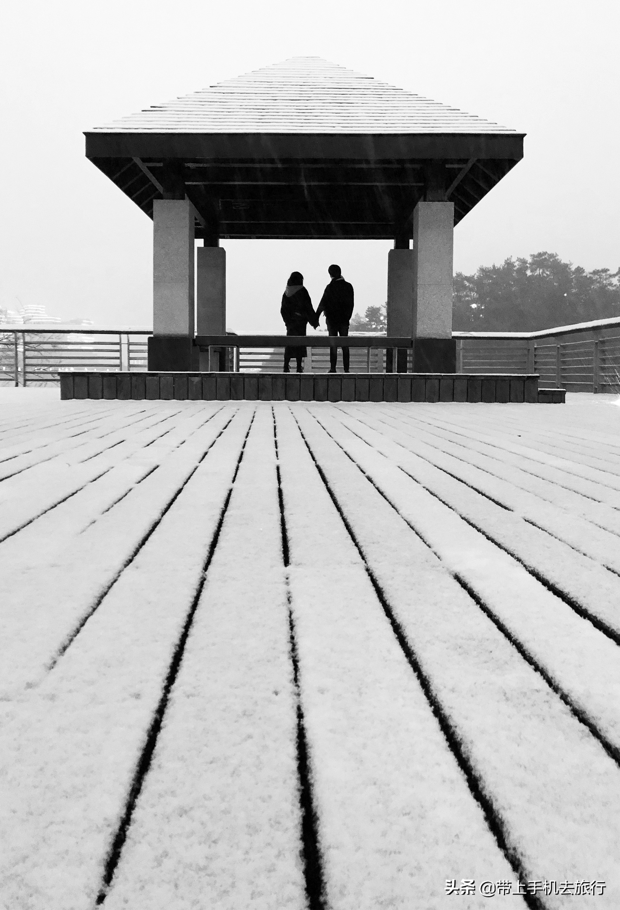 黑白效果适合什么照片,怎样才可以拍成黑白照片