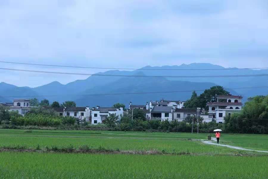 古徽州老宅,徽州古村落南屏