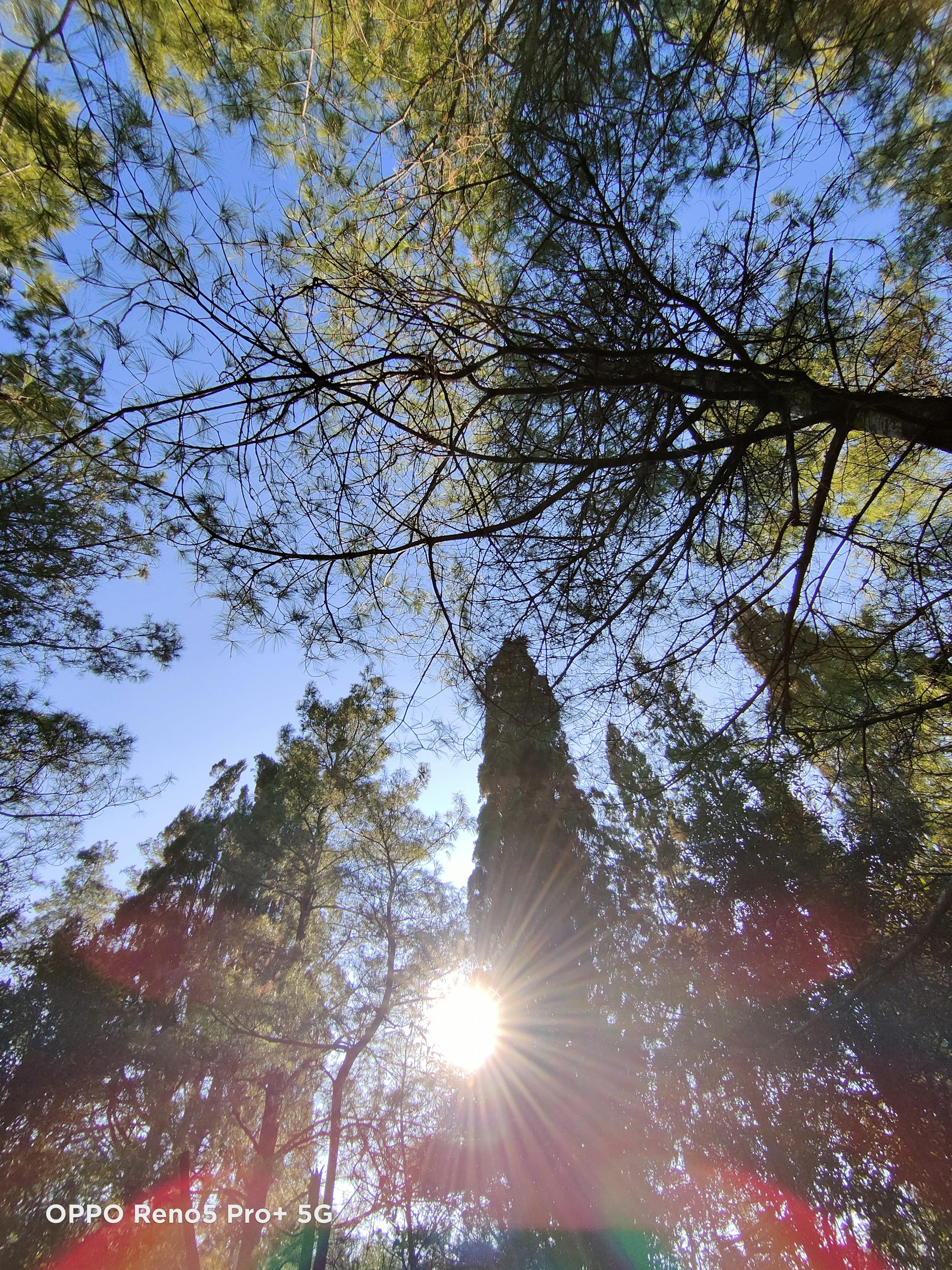 昆明海贝国际生态农庄,昆明自然教育农庄