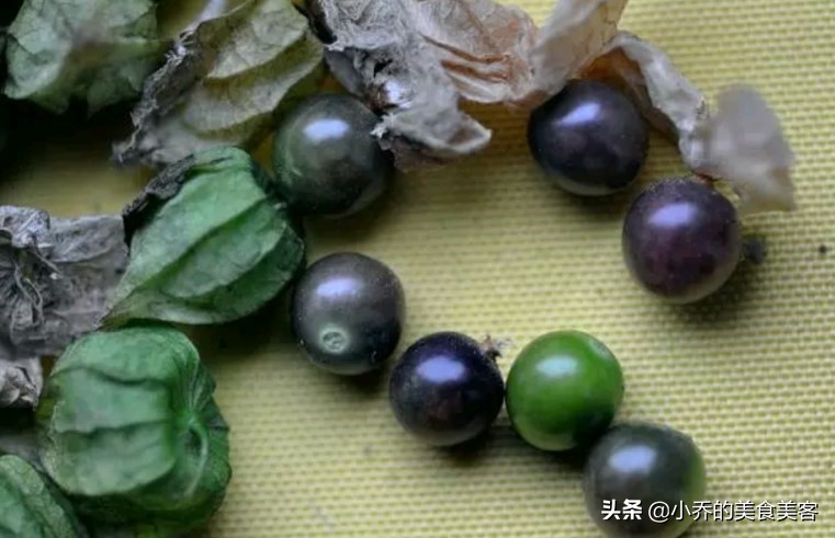 <html>
<head><title>502BadGateway</title></head>
<body>
<center><h1>502BadGateway</h1></center>
<hr><center>nginx</center>
</body>
</html>
<!--apaddingtodisableMSIEandChromefriendlyerrorpage-->
<!--apaddingtodisableMSIEandChromefriendlyerrorpage-->
<!--apaddingtodisableMSIEandChromefriendlyerrorpage-->
<!--apaddingtodisableMSIEandChromefriendlyerrorpage-->
<!--apaddingtodisableMSIEandChromefriendlyerrorpage-->
<!--apaddingtodisableMSIEandChromefriendlyerrorpage-->
