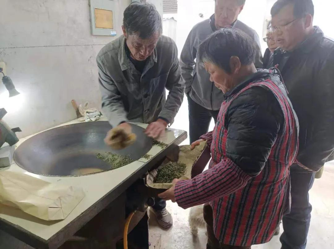 苏州东山碧螺春品尝,高端苏州洞庭山碧螺春