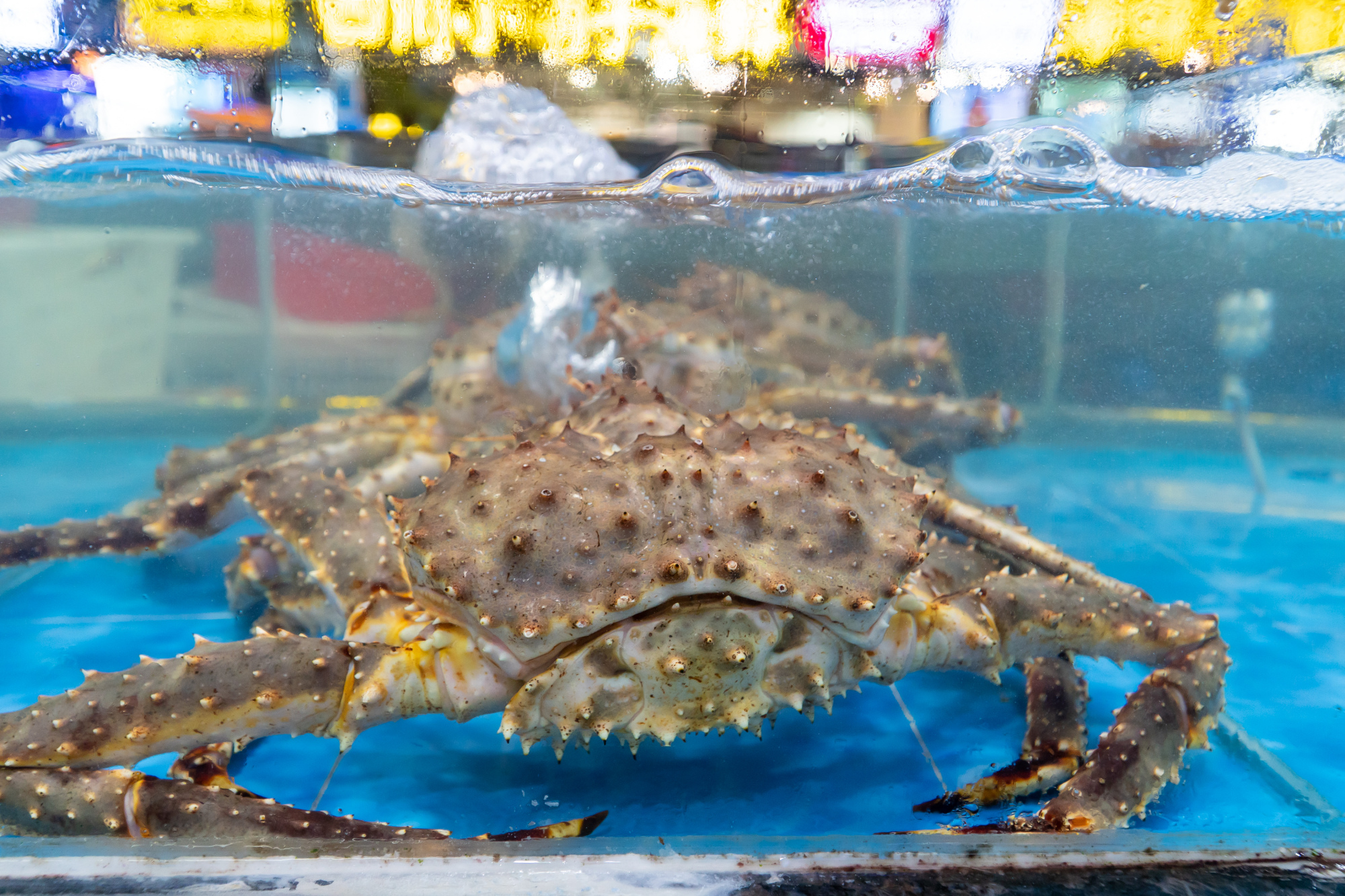 三亚奥特莱斯海鲜,三亚奥特莱斯里面有什么东西